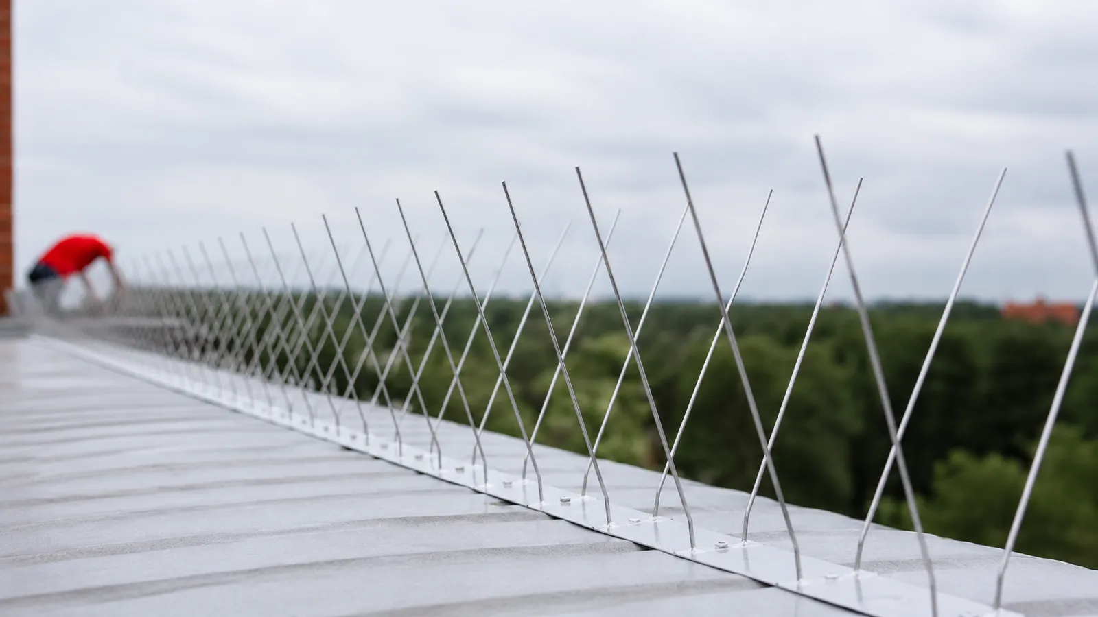 Taubenabwehr am Parkdeck, Edelstahl-Spikes auf einer Betonbrüstung